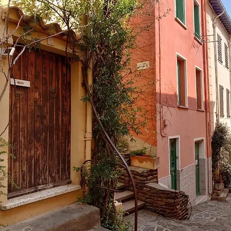 6pa36 Du Port D Avall Collioure