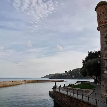 6pa36 Du Port D Avall Collioure