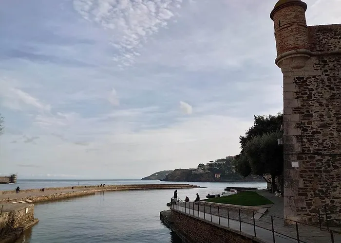 6pa36 Du Port D Avall Collioure