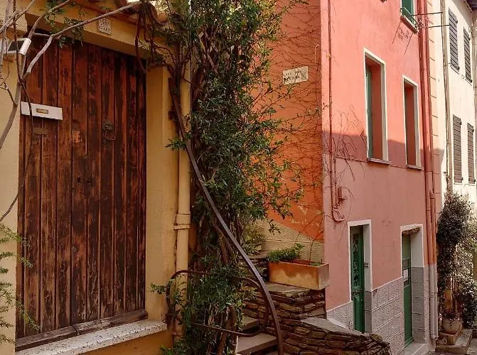 6pa36 Du Port D Avall Collioure