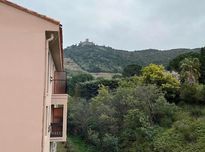 6pa36 Du Port D Avall Appartement Collioure